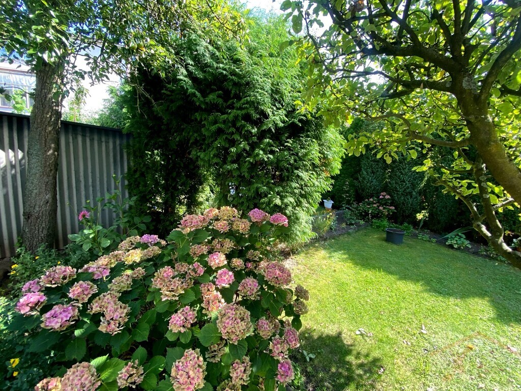 Piętro domu, ogród, spokojna okolica (14)