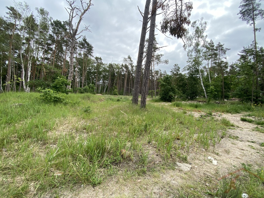 Działka Dziwnówek - bardzo blisko morza (5)