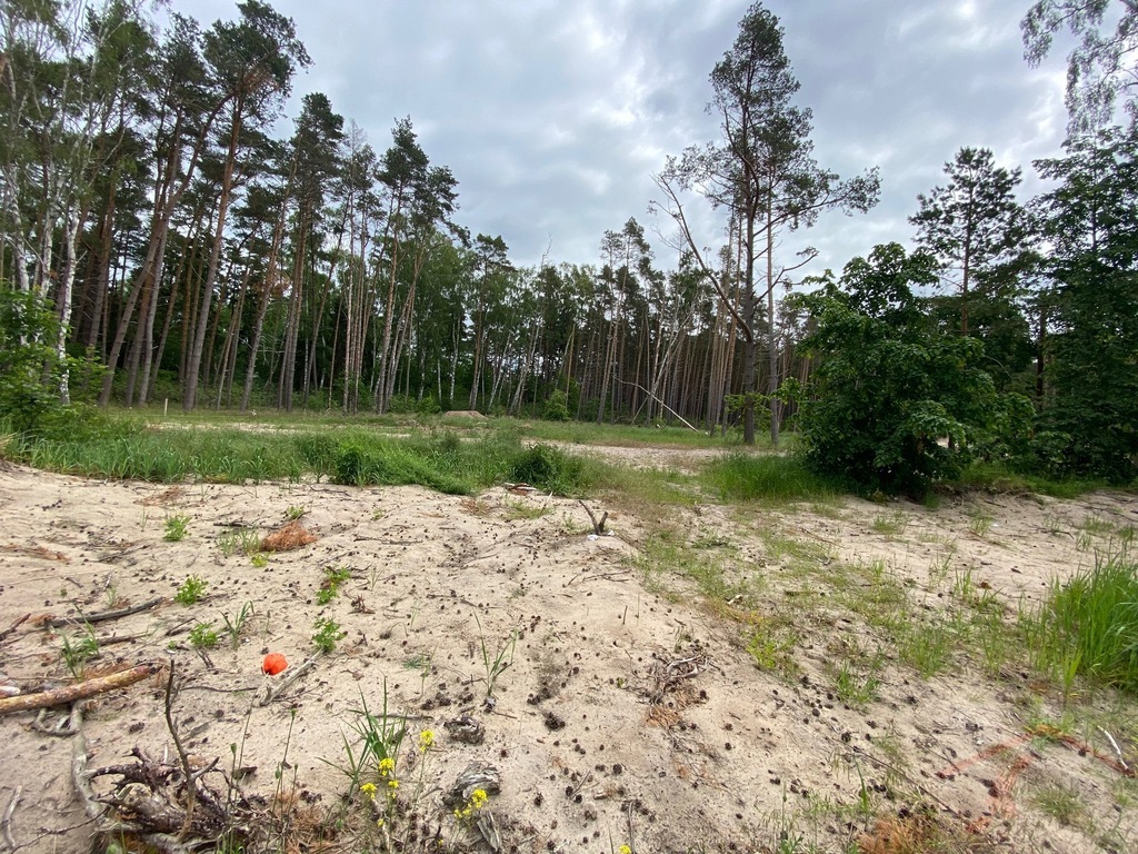 Dziwnówek, 2 działki blisko morza 2788 m2 (8)