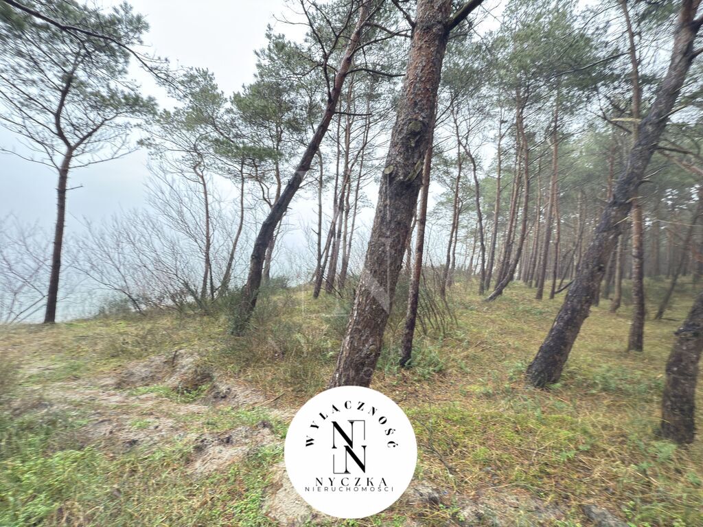 Apartament z ogrodem 5 min od morza! (17)