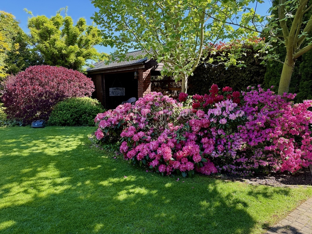 Rezydencja klasy premium | Mierzyn | Ogród (15)