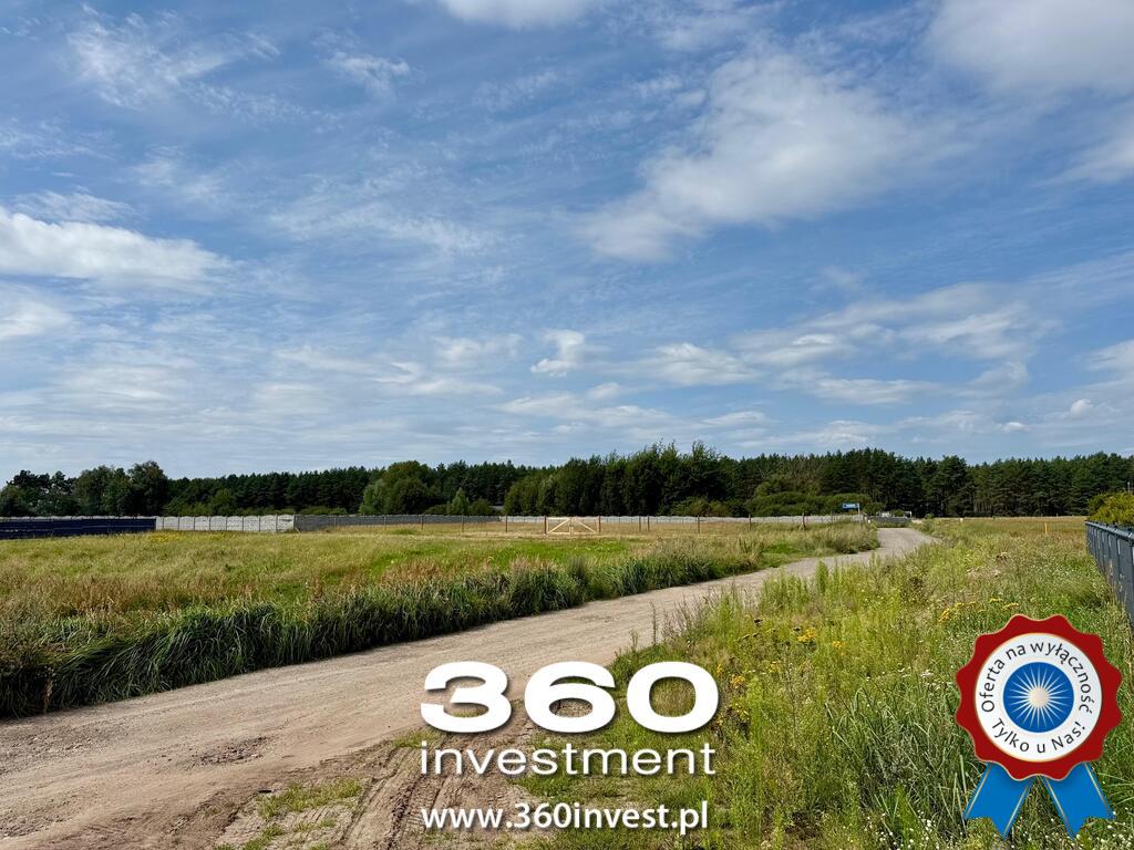 Wyjątkowa przy ścianie lasu w Sławoszewie (4)