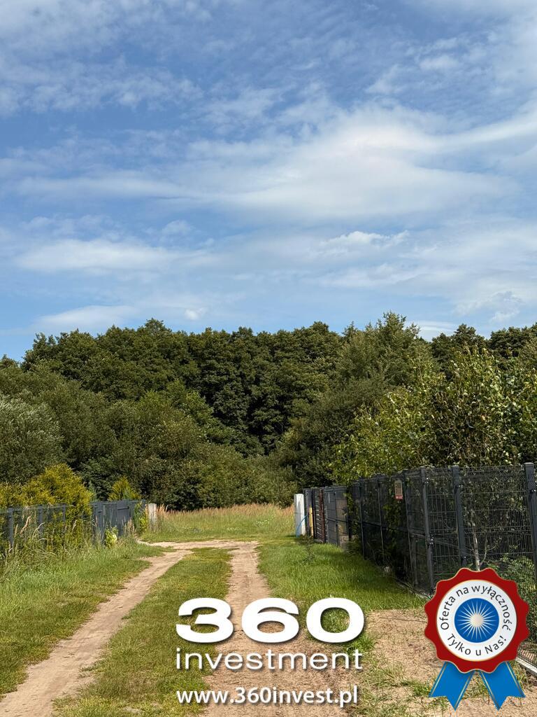 Wyjątkowa przy ścianie lasu w Sławoszewie (5)