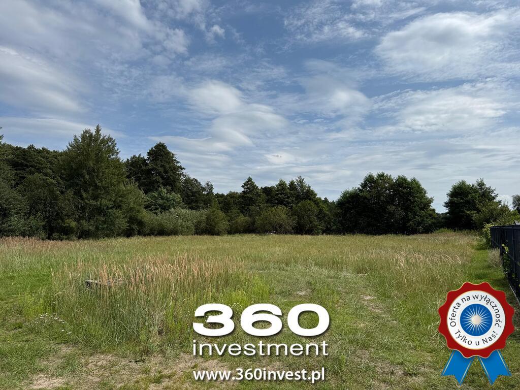 Wyjątkowa przy ścianie lasu w Sławoszewie (6)