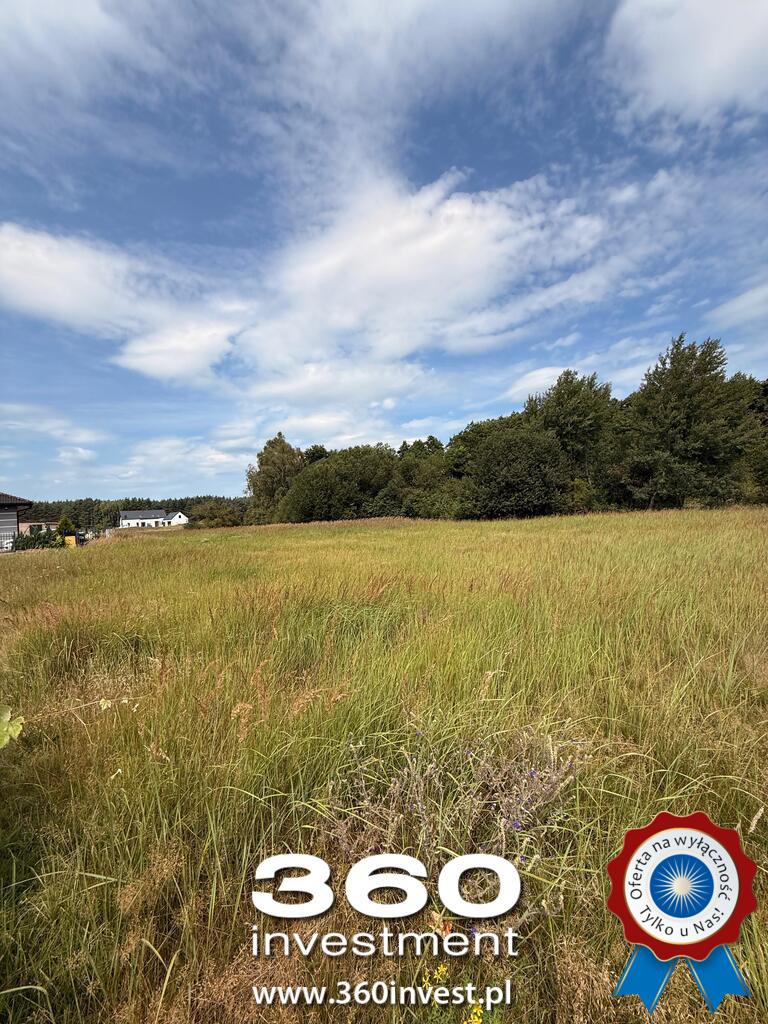 Wyjątkowa przy ścianie lasu w Sławoszewie (7)