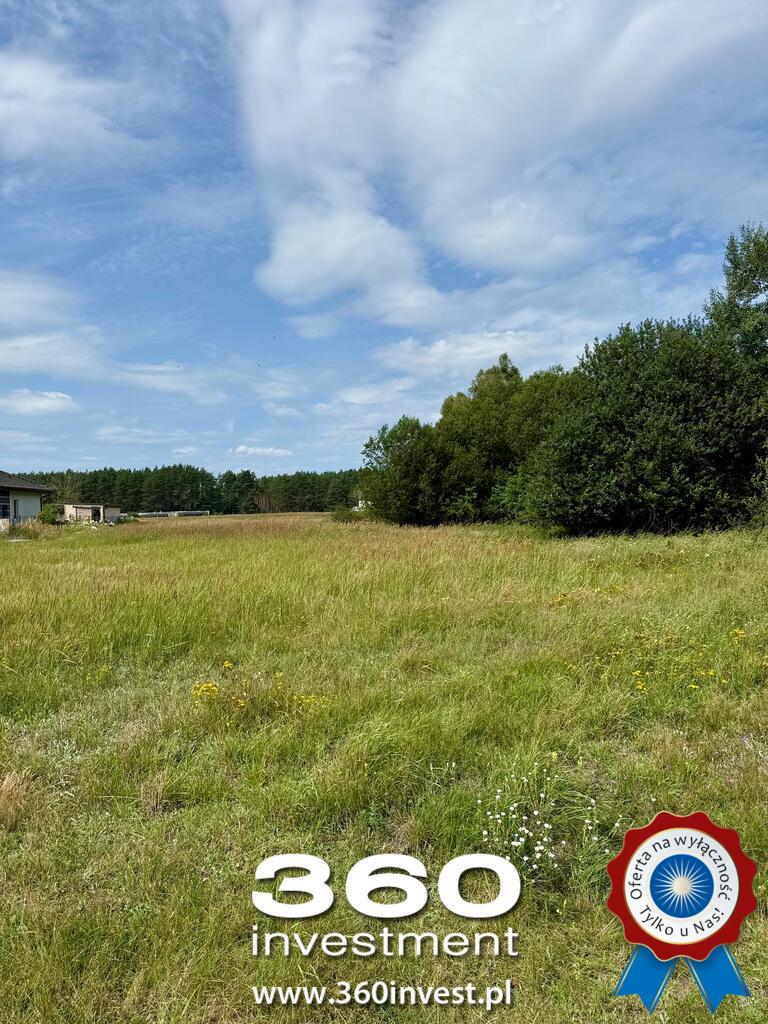 Wyjątkowa przy ścianie lasu w Sławoszewie (8)