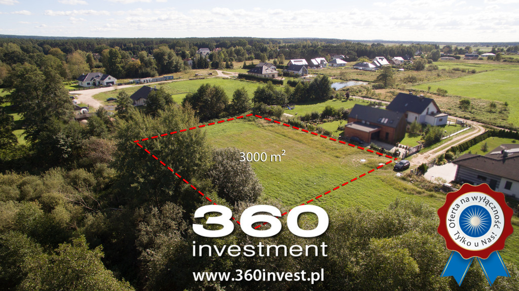 Wyjątkowa przy ścianie lasu w Sławoszewie (2)