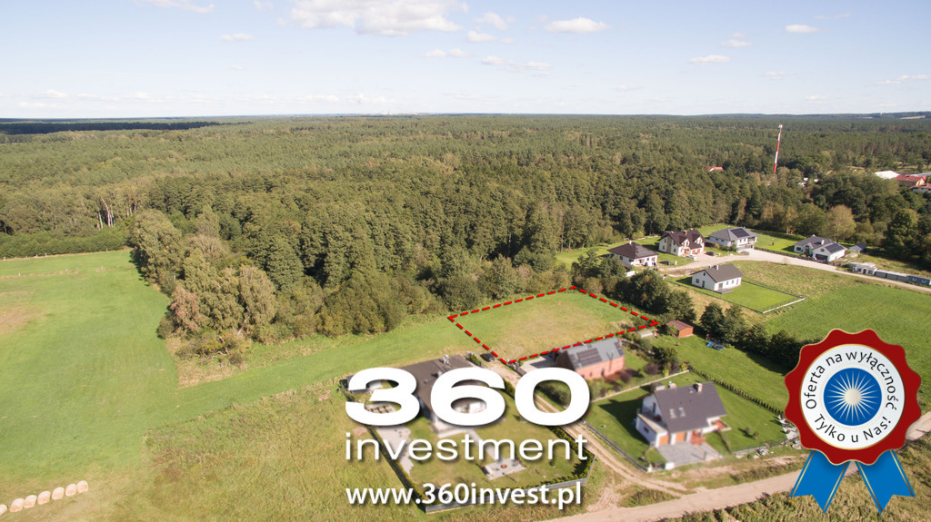 Wyjątkowa przy ścianie lasu w Sławoszewie (3)