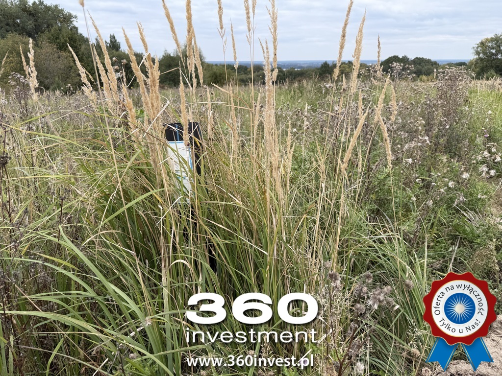 Działka z pięknym widokiem na jezioro Dąbie (13)