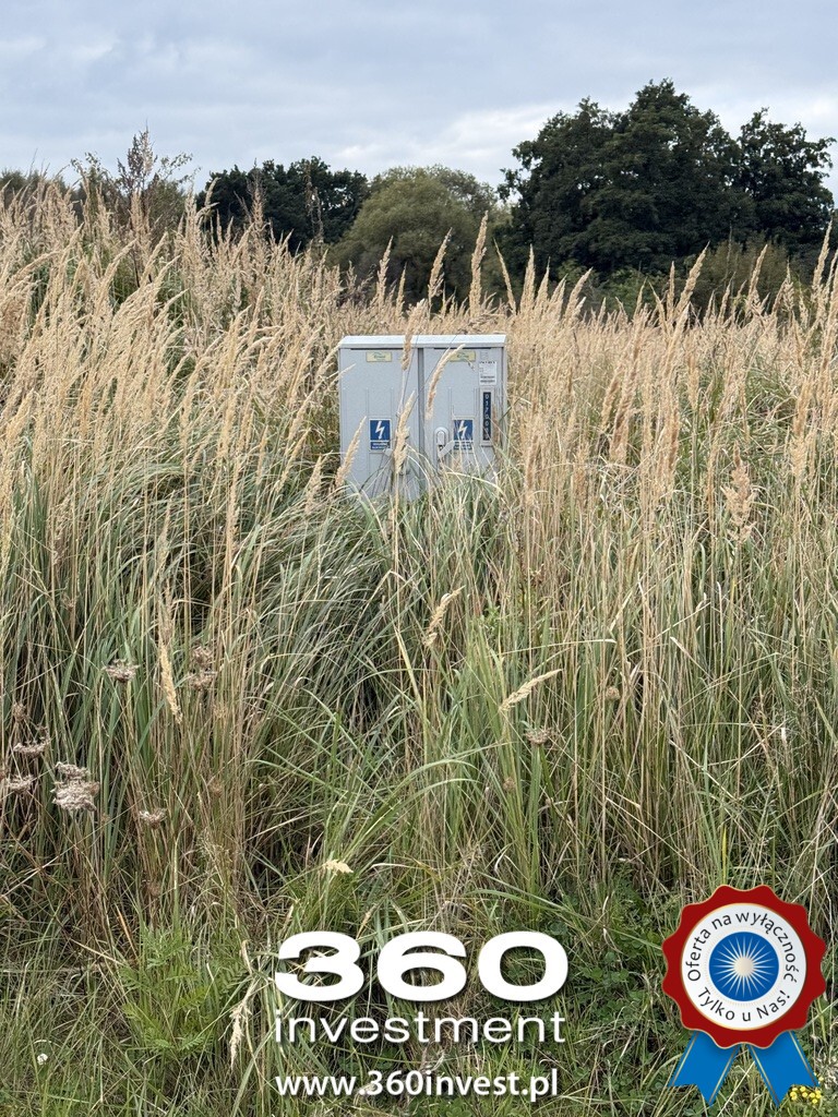 Działka z pięknym widokiem na jezioro Dąbie (12)