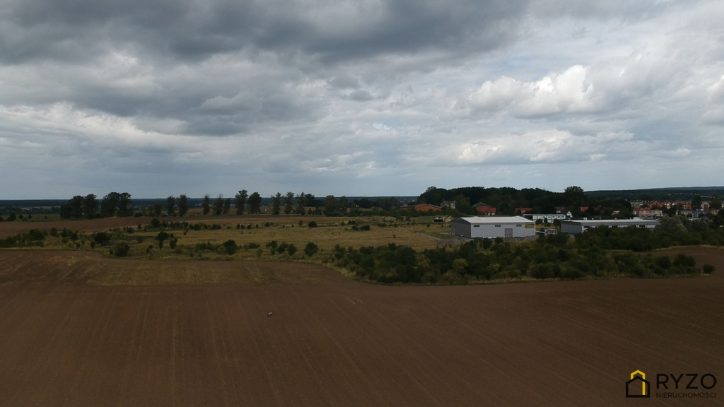 Teren 1,7672 ha z warunkami zabudowy pod 2 hale. (4)