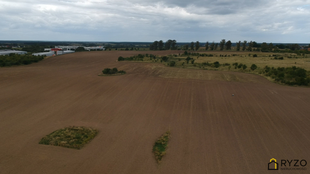 Teren 1,7672 ha z warunkami zabudowy pod 2 hale. (6)