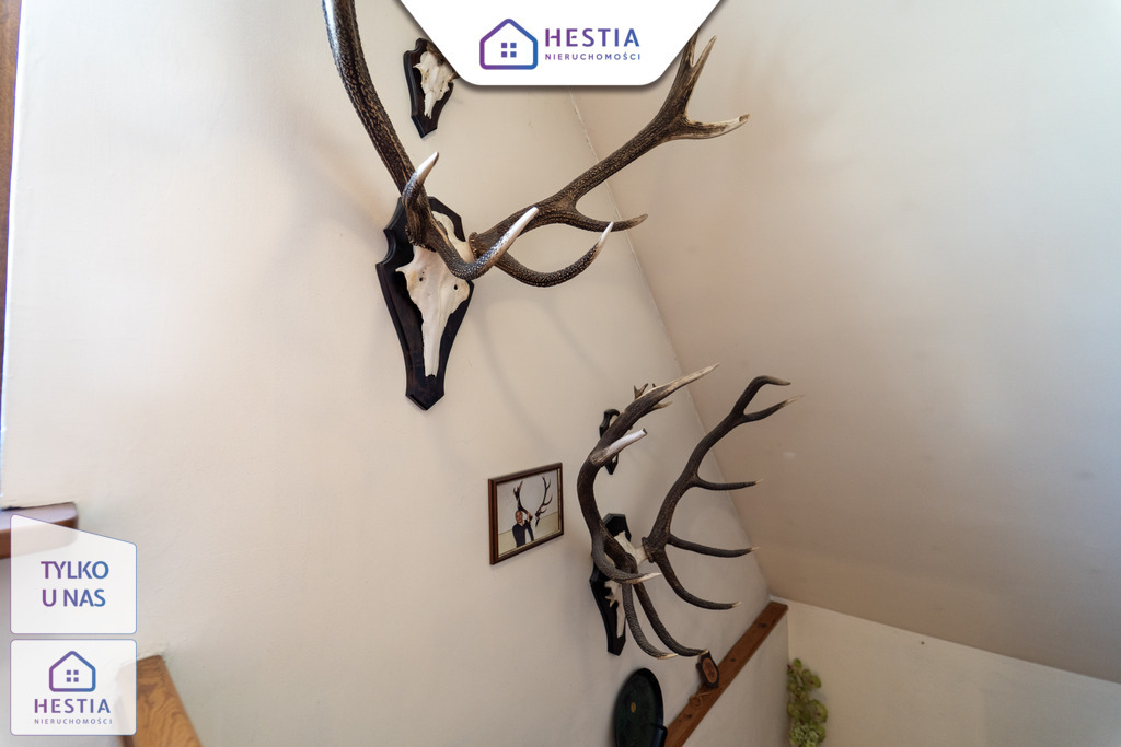 Dom wolnostojący z piwnicą (16)