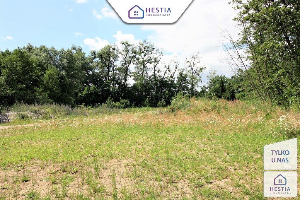 Na sprzedaż: Duża działka rekreacyjna z domkiem (8)