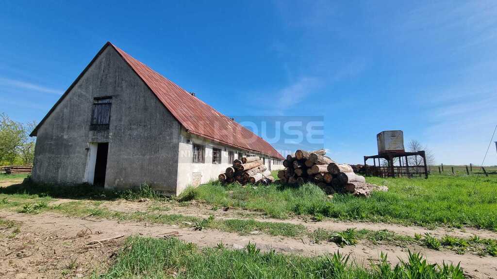 Duża działka rolna z zabudową produkcyjno-usług. (4)