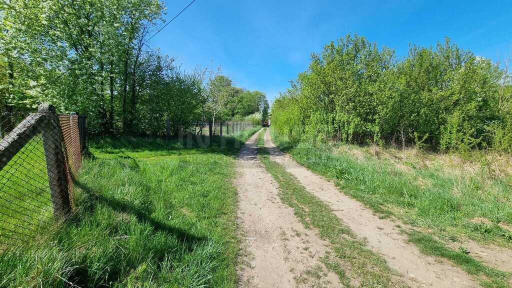 Duża działka rolna z zabudową produkcyjno-usług. (10)