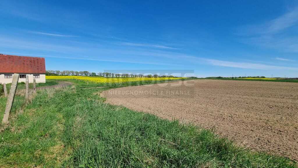 Duża działka rolna z zabudową produkcyjno-usług. (12)