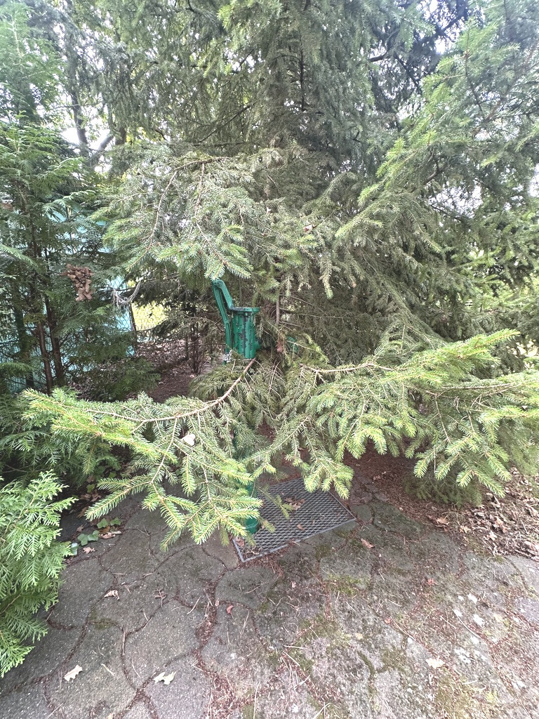 10 min od plazy w Trzebieży, z  domkiem. MPZP (17)