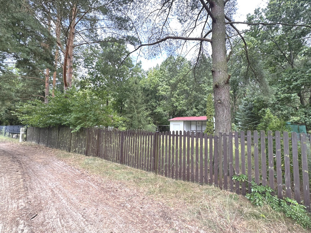 10 min od plazy w Trzebieży, z  domkiem. MPZP (20)