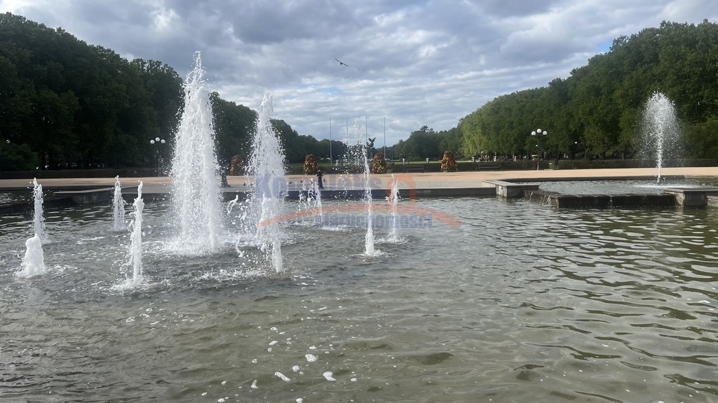 lokal w topowej lokalizacji  Jasne Błonie 3 pokoje (10)