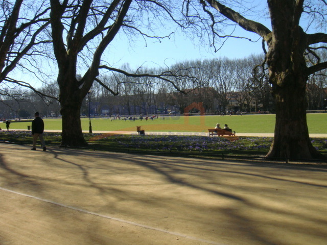 lokal w topowej lokalizacji  Jasne Błonie 3 pokoje (13)