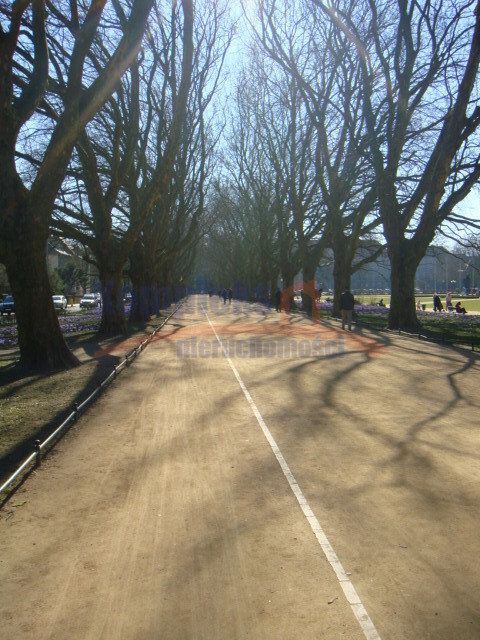 lokal w topowej lokalizacji  Jasne Błonie 3 pokoje (14)