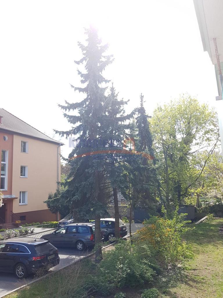 lokal w topowej lokalizacji  Jasne Błonie 3 pokoje (17)