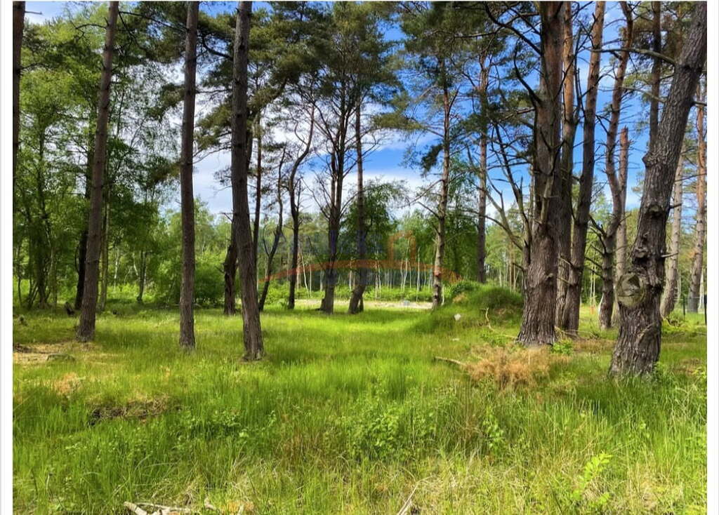 Budowlana, 1,248 m2, Dziwnów  (3)