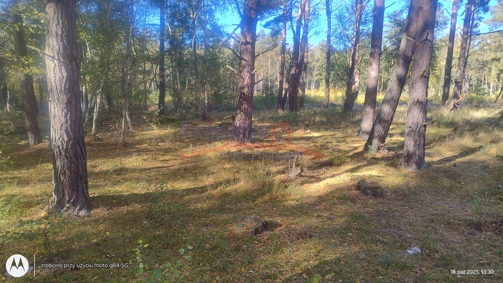 Budowlana, 1,248 m2, Dziwnów  (2)