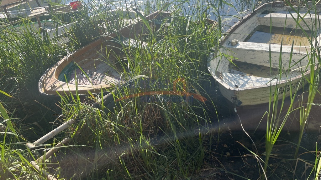 Domek nad jeziorem 20km od Szczecina. (17)