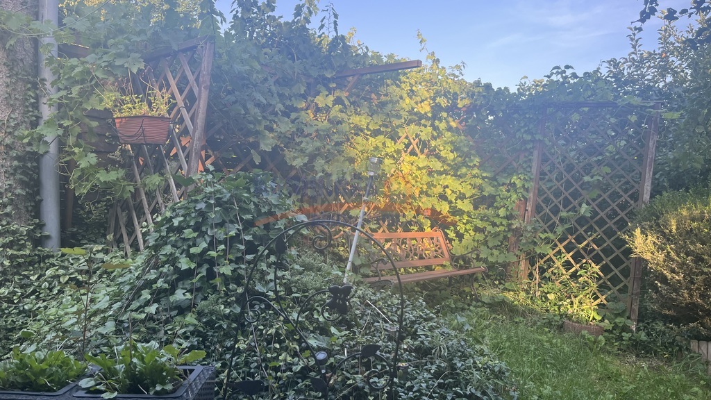 Domek nad jeziorem 20km od Szczecina. (23)