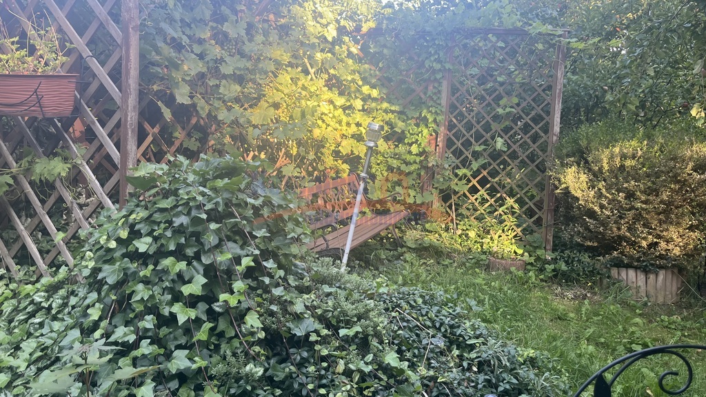 Domek nad jeziorem 20km od Szczecina. (29)