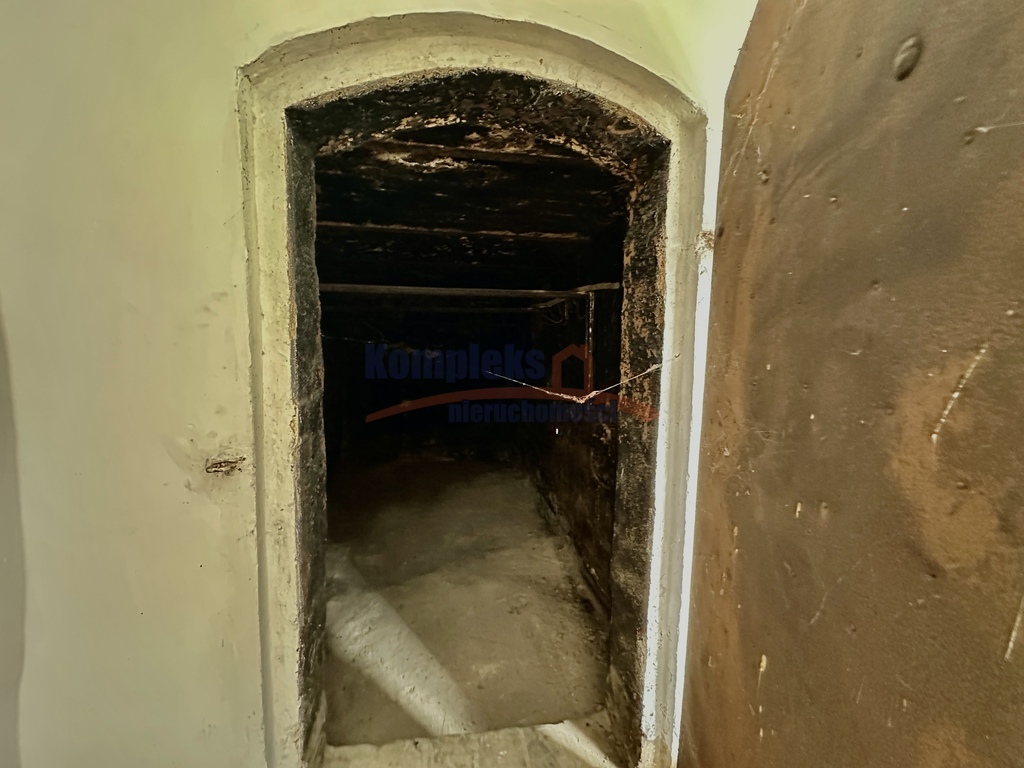 Nieruchomość - ogromny potencjał! (21)