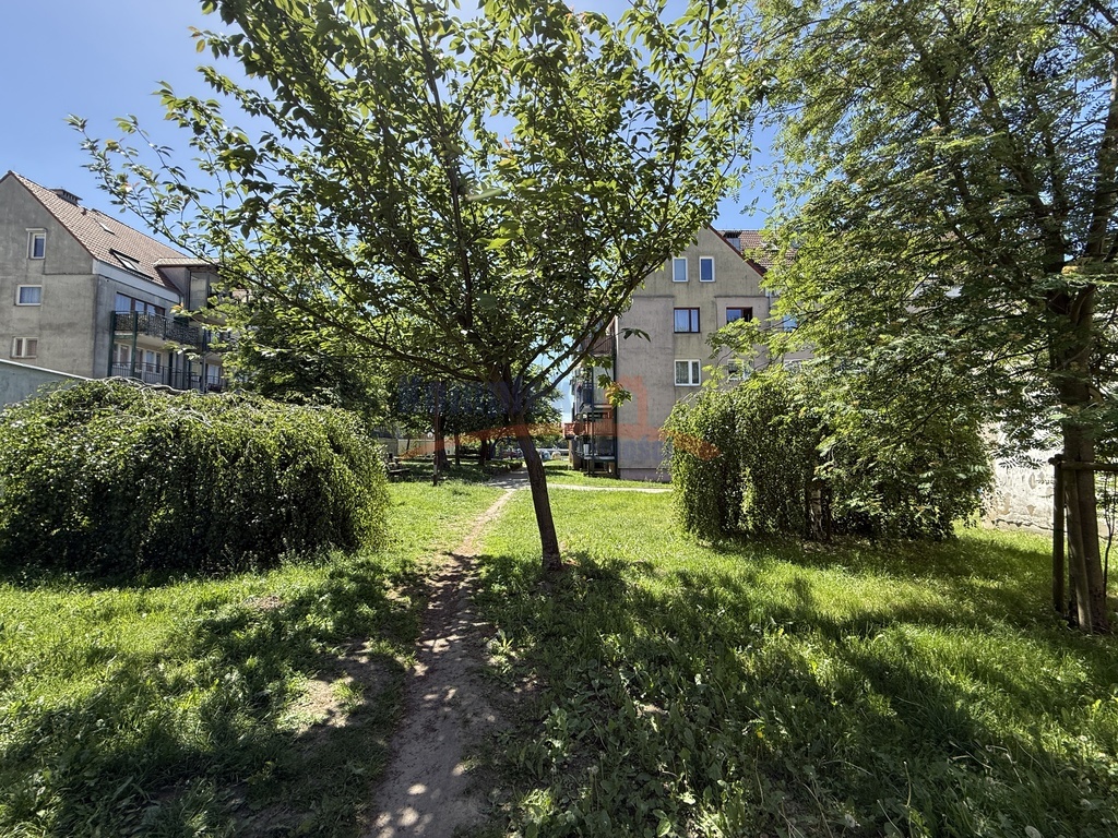 3 pokoje Pogodno - mieszkanie lub działalność (1)