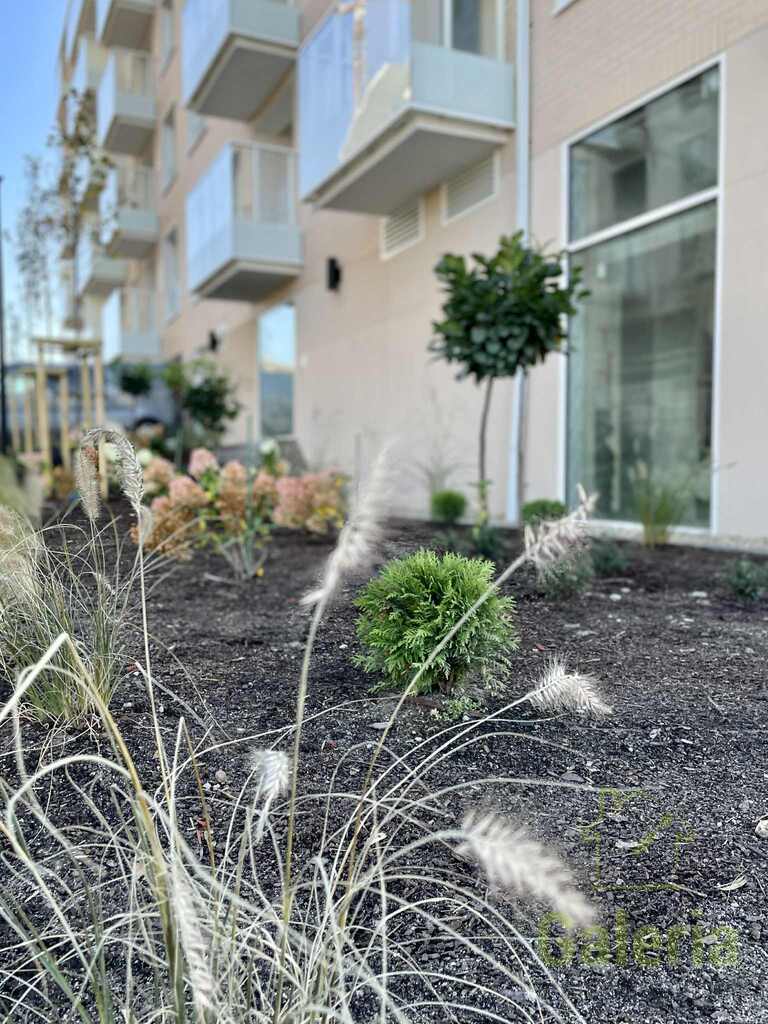 2 pokoje na Kępie Parnickiej - cesja, od zaraz! (2)