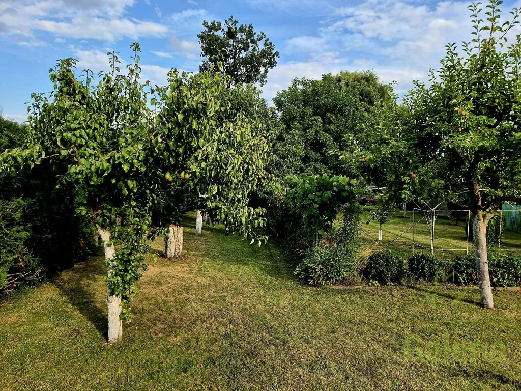 Dom na dużej działce w malowniczych Baniach (5)