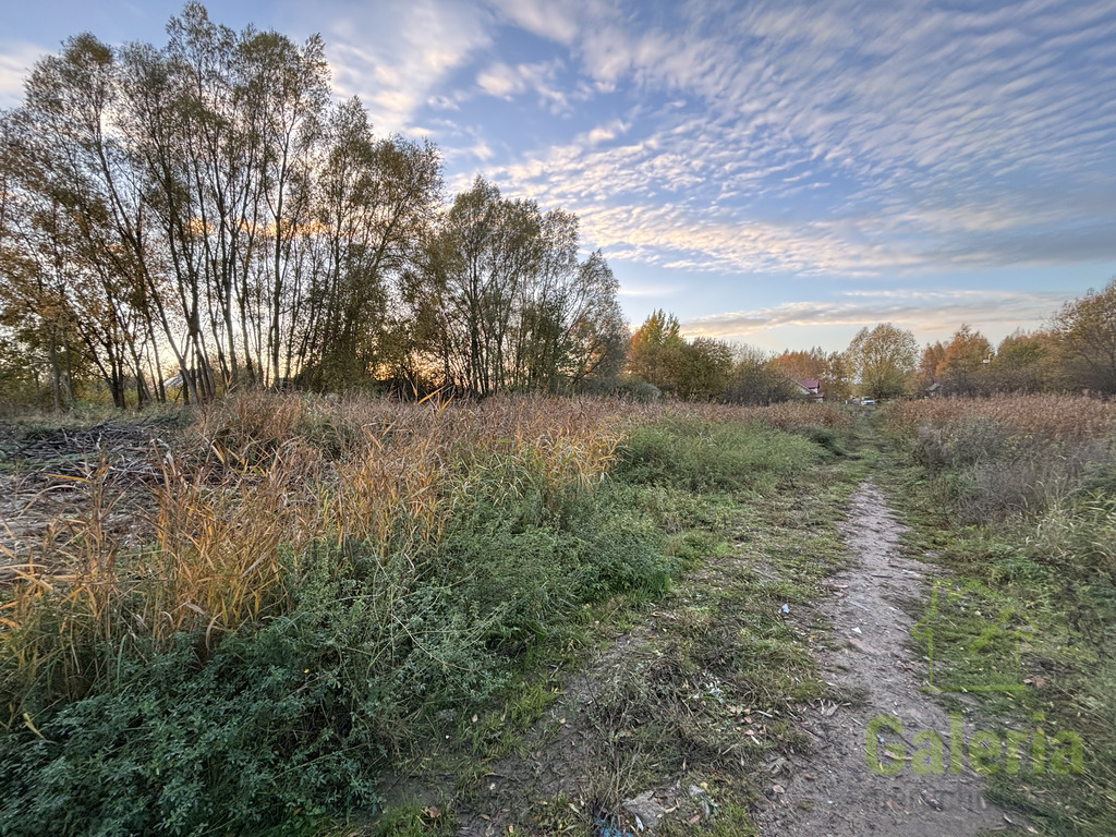Działka w Dołujach z MPZP (2)
