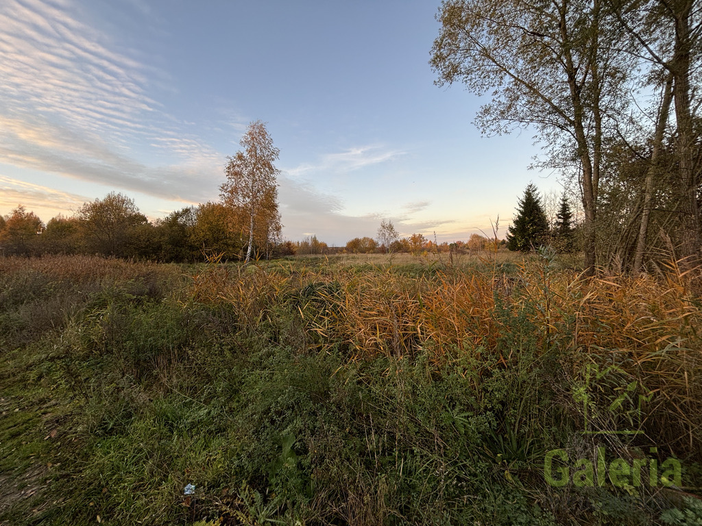 Działka w Dołujach z MPZP (3)