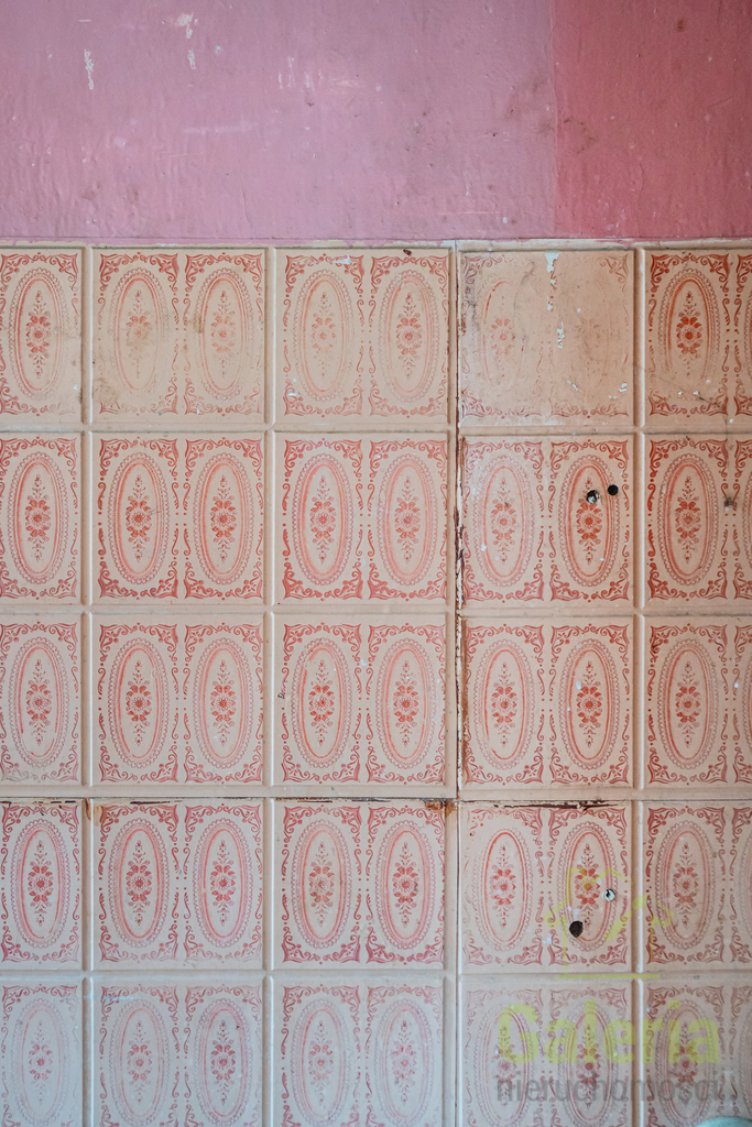 Niepowtarzalnie duże mieszkanie w sercu Pogodna (14)