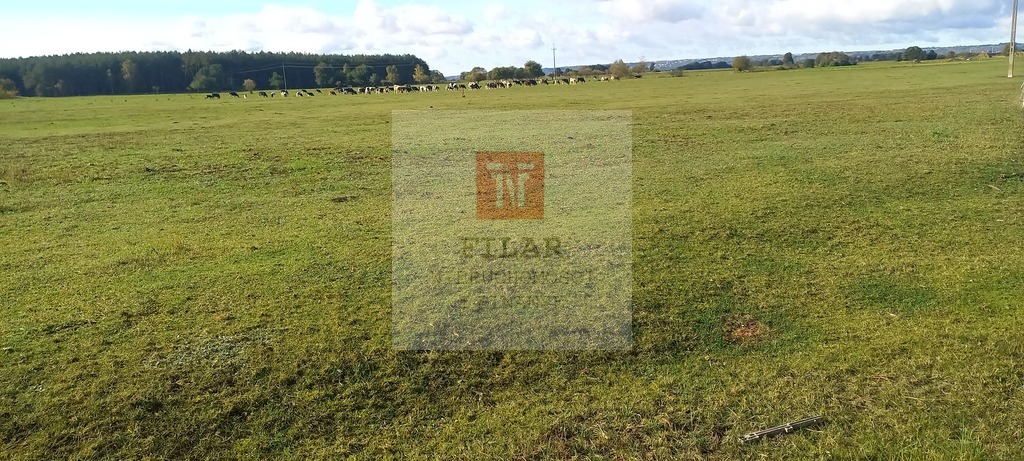 Duża działka o pow.1947 m2 w Borzysławcu. (2)