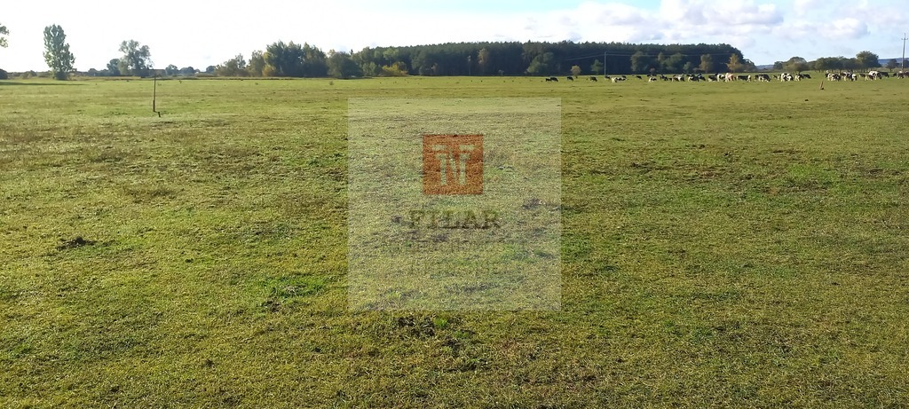 Duża działka o pow.1947 m2 w Borzysławcu. (4)