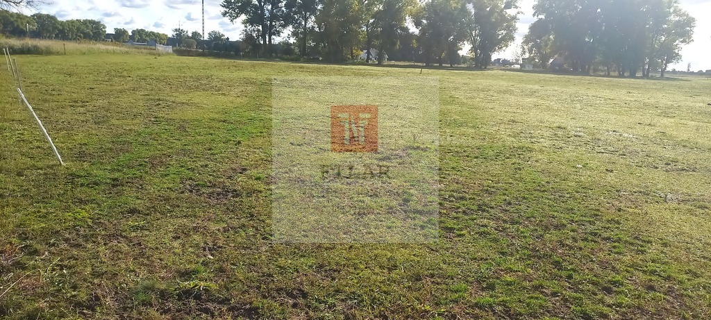 Duża działka o pow.1947 m2 w Borzysławcu. (6)