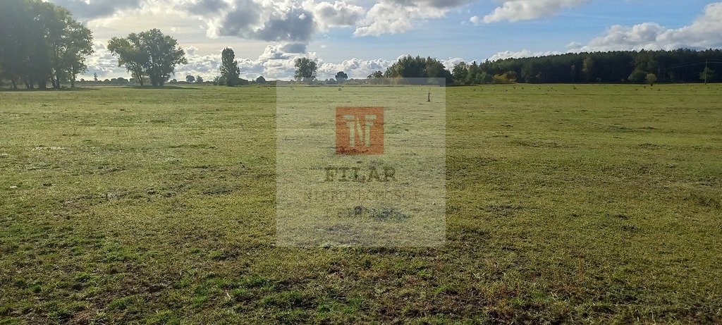 Duża działka o pow.1947 m2 w Borzysławcu. (7)