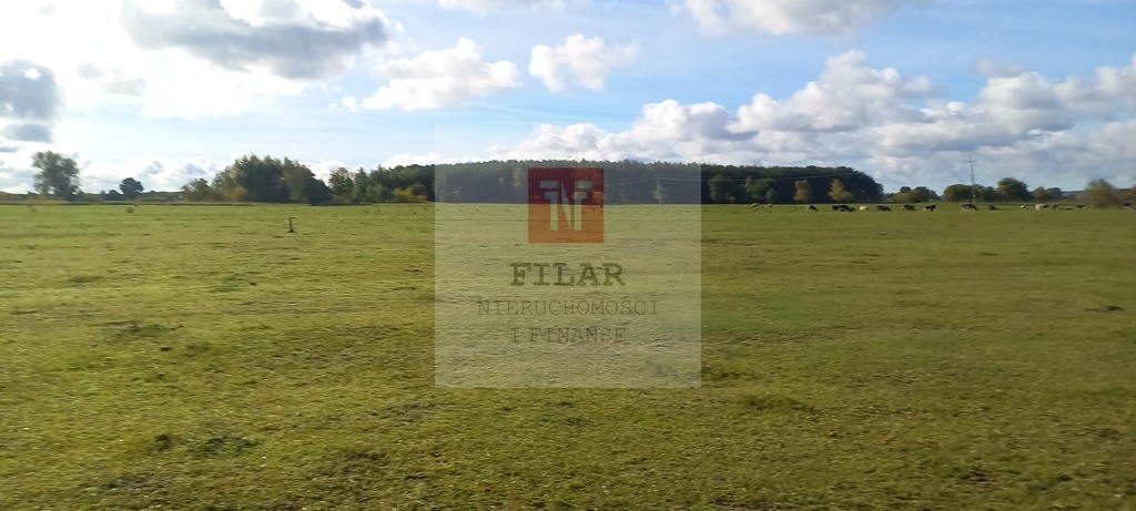 Duża działka o pow.1947 m2 w Borzysławcu. (8)