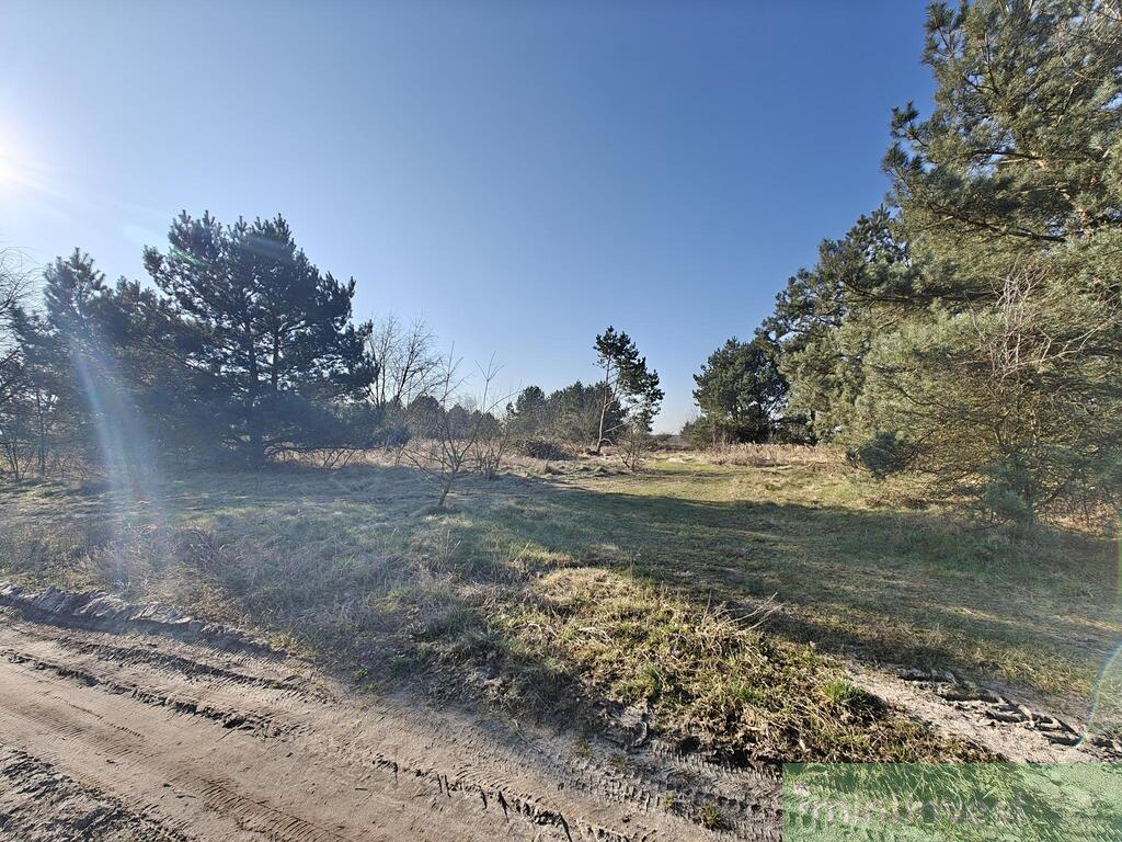 Działka dla dewelopera (2)