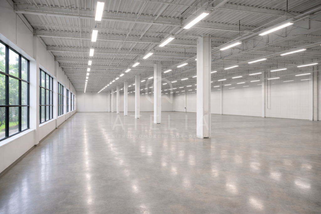 Kompleks hal produkcyjno-magazynowych (1)