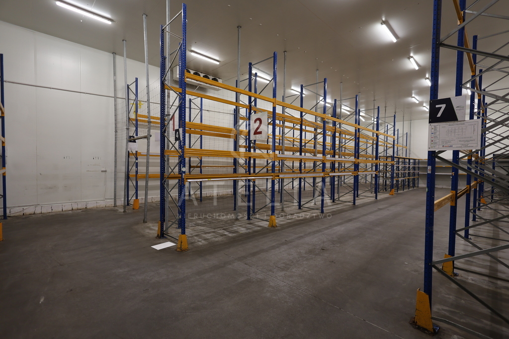 Powierzchnia magazynowa(chłodnie) na wynajem (3)