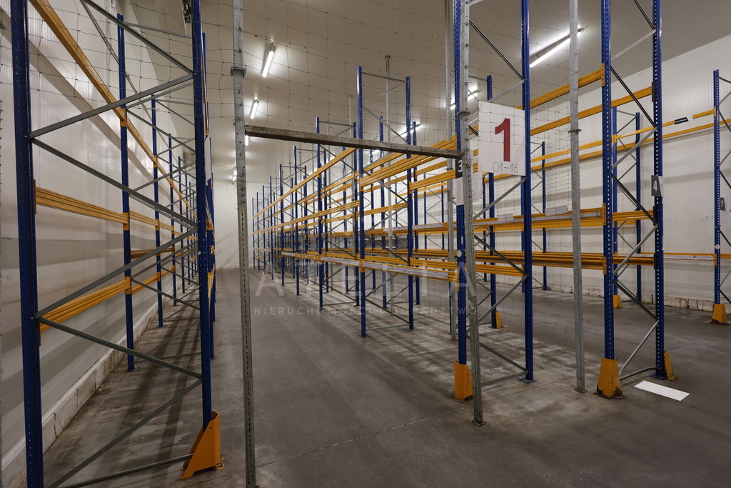 Powierzchnia magazynowa(chłodnie) na wynajem (4)