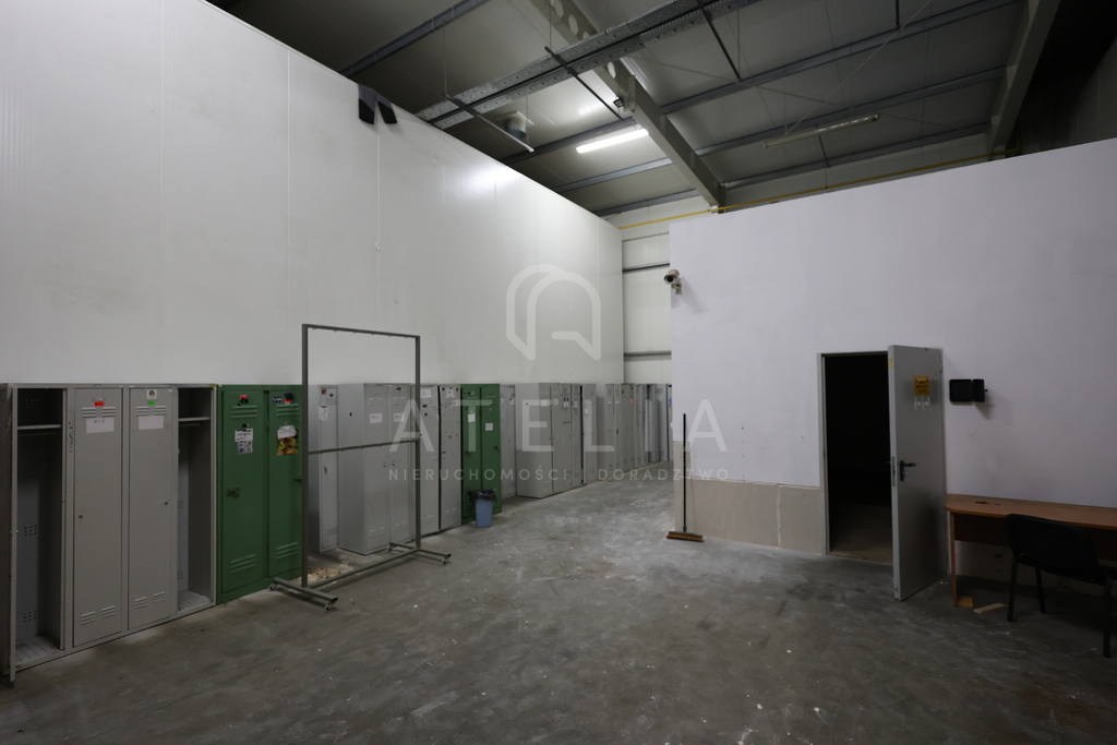 Powierzchnia magazynowa(chłodnie) na wynajem (8)