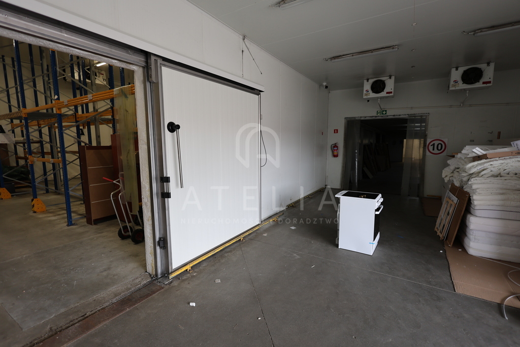 Powierzchnia magazynowa(chłodnie) na wynajem (10)